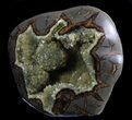 Calcite Crystal Filled Septarian Geode - Utah #37233-2